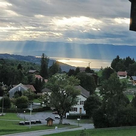 Balcony Of Lake Geneva Thollon-les-Memises Bagian luar foto